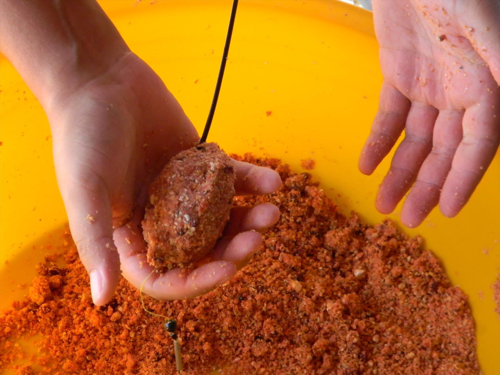 Debut mania 3-6 sep 2012 - dscn7489.JPG